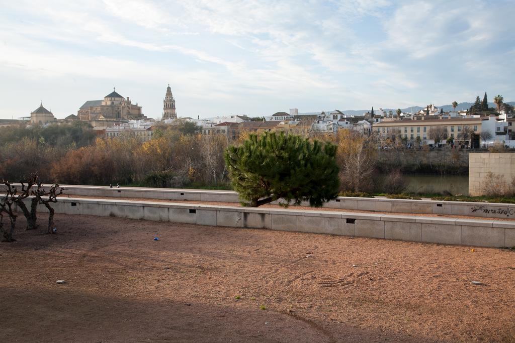 Amparo Cinco Apartment Cordoba Room photo